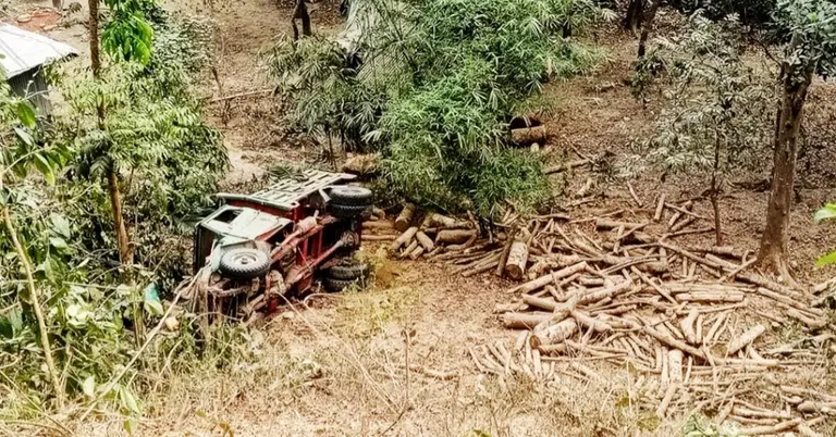 লাকড়িবোঝাই ট্রাক খাদে